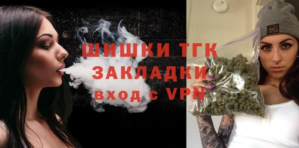 гидропоника Ельня