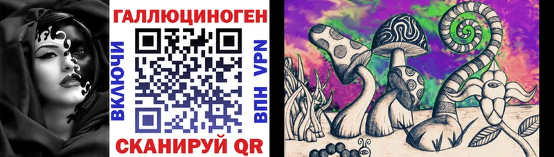 как найти наркотики  Злынка  mega маркетплейс  Псилоцибиновые грибы Psilocybine cubensis 