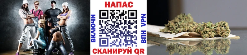 Конопля MAZAR  даркнет сайт  Злынка 